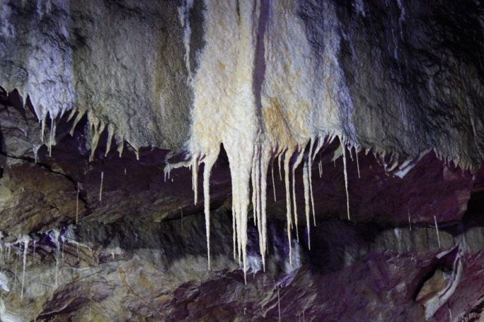 Poole's Cavern Buxton