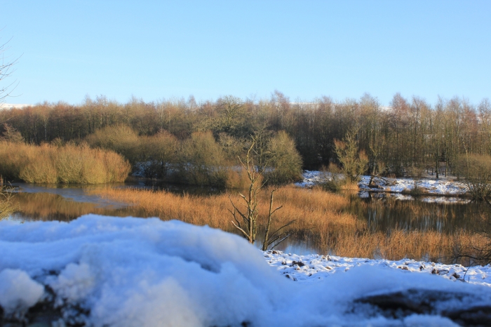 tittesworth-water-winter-walk-01