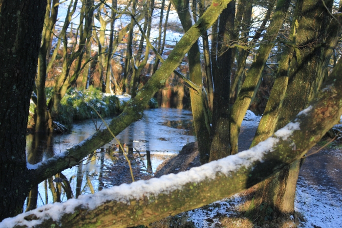 tittesworth-water-winter-walk-02