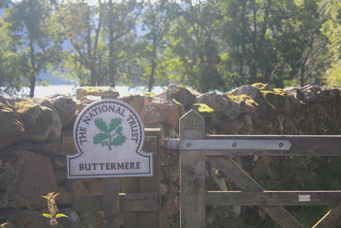buttermer-national-trust