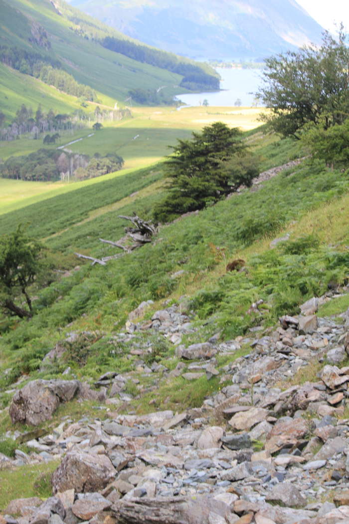 buttermere-walk-large-outdoors-04