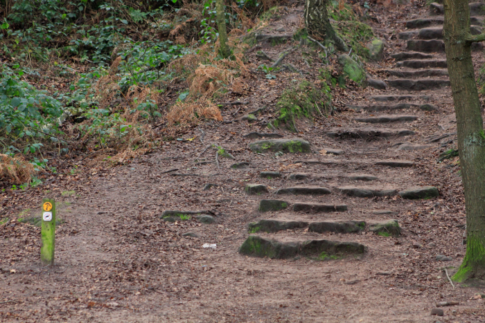 Sandstone trail steps