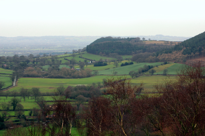 Bickerton Hill View