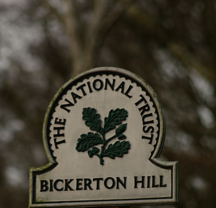 Bickerton Hill