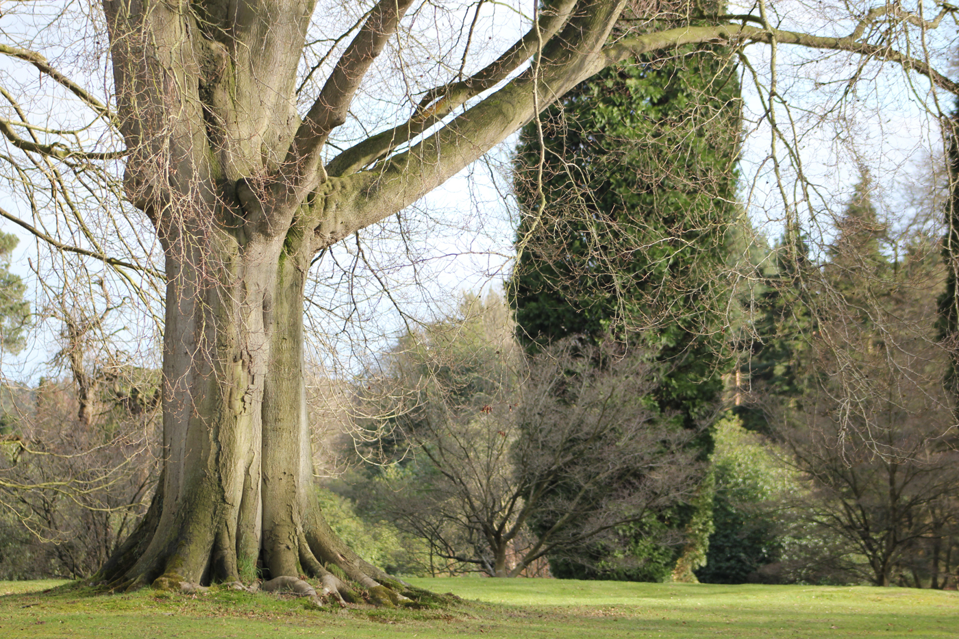 Cholmondeley Castle garden grounds