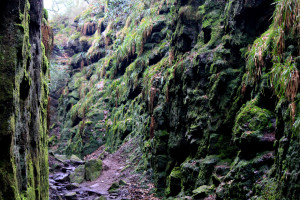 Lud's Church in the Peak District