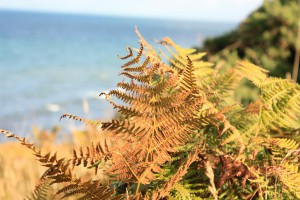 Relax and enjoy nature