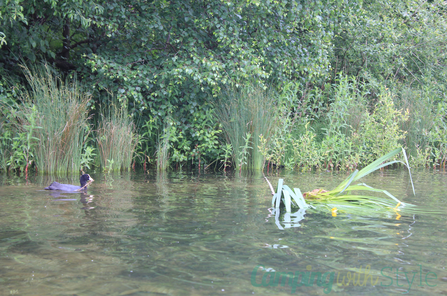 kayaking-peak-persuits-congleton-cheshire-15