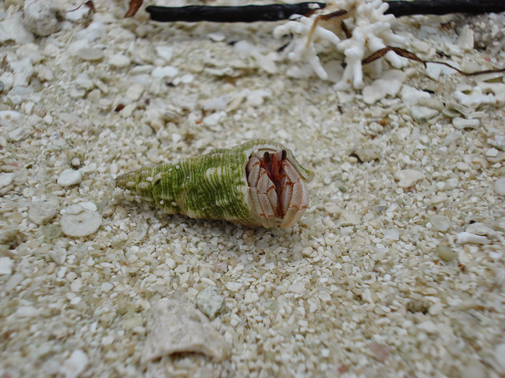 Maldives Bucket List Holiday