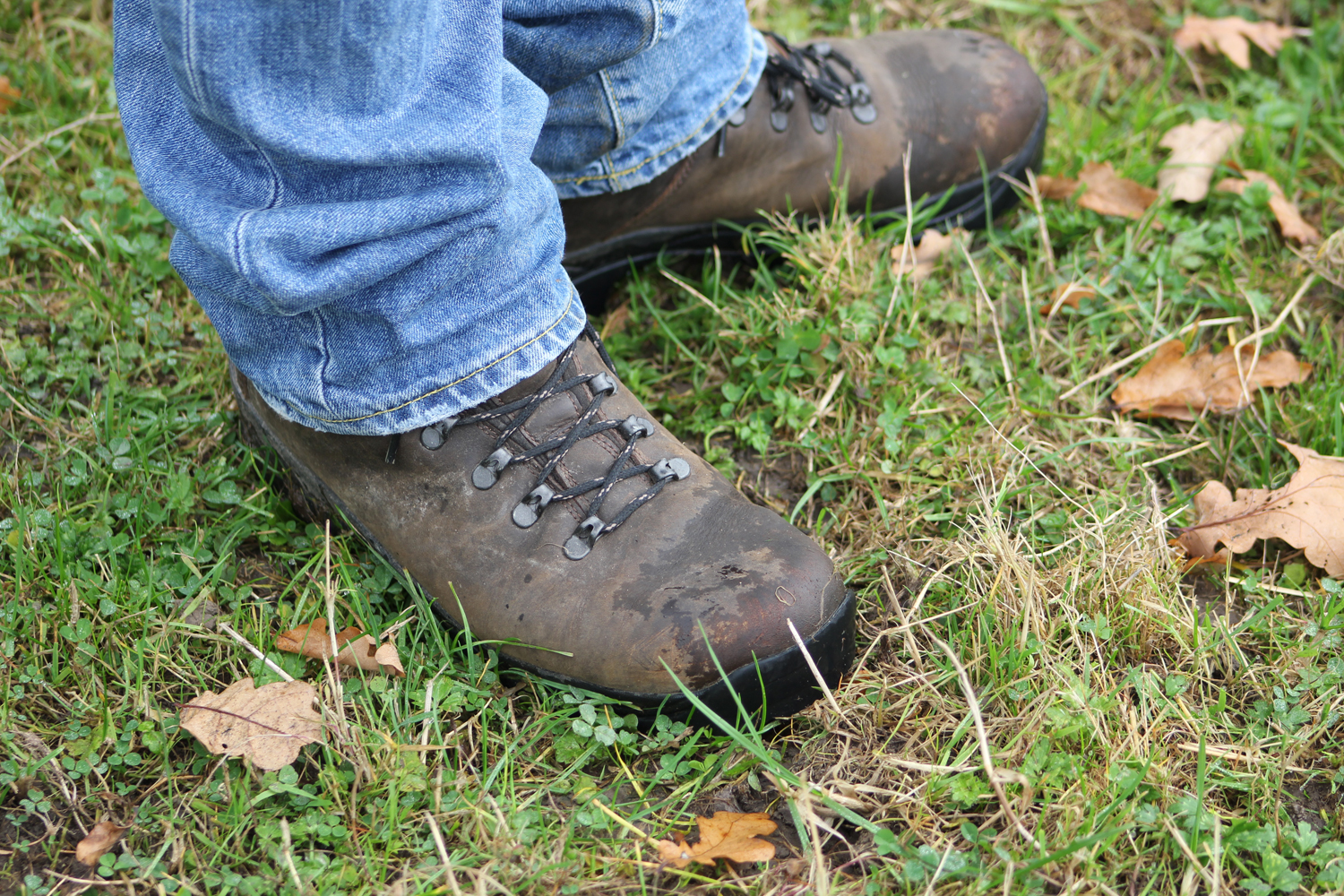 Hi-Tec Ravine Mens Walking Boots Review