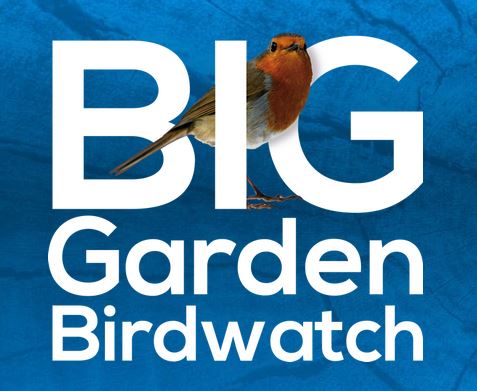Big Garden Birdwatch 2019