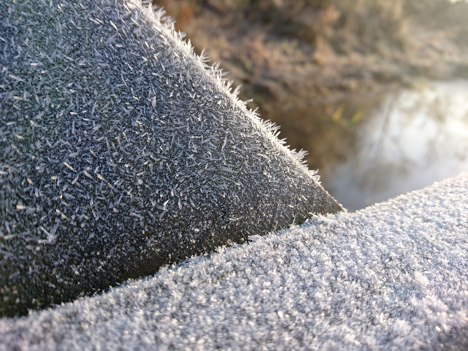 Macro shot of some frost