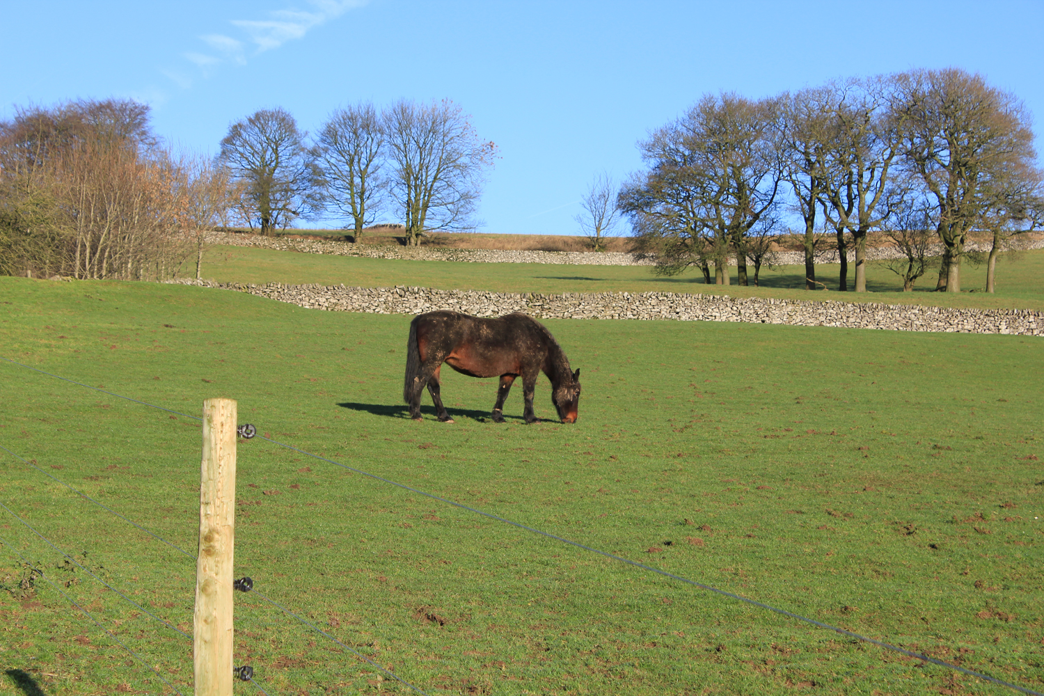A Cosy Weekend Glamping Break a Hoe Grange Farm in The Peak District