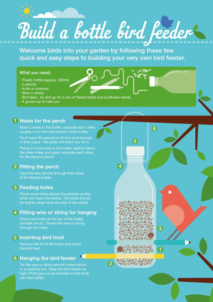 Build a bird feeder visual guide