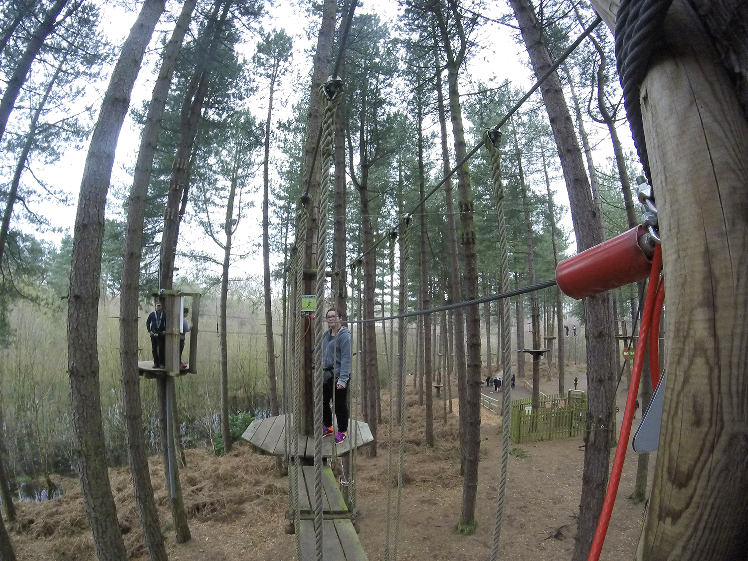 Go Ape Delamere Forest Cheshire Tree Top Adventure