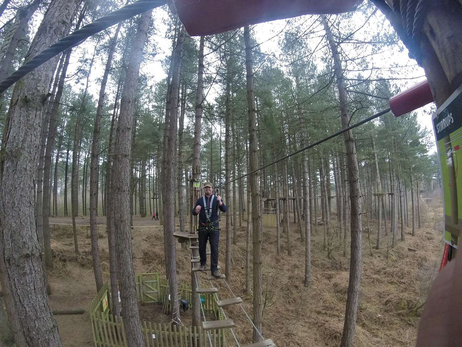 Go Ape Delamere Forest Cheshire Tree Top Adventure
