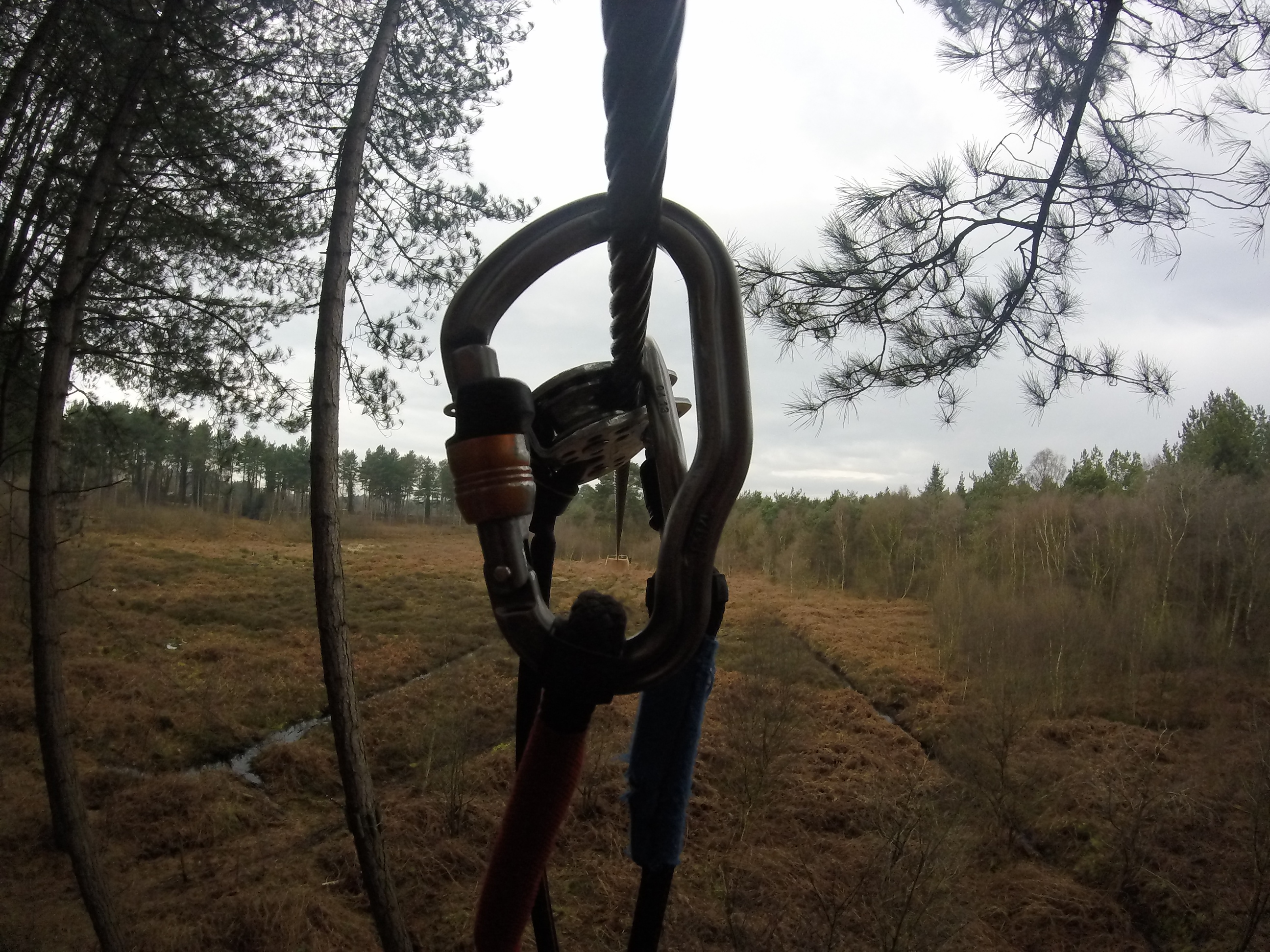 Zipwire at Delamere Forest Cheshire Go Ape