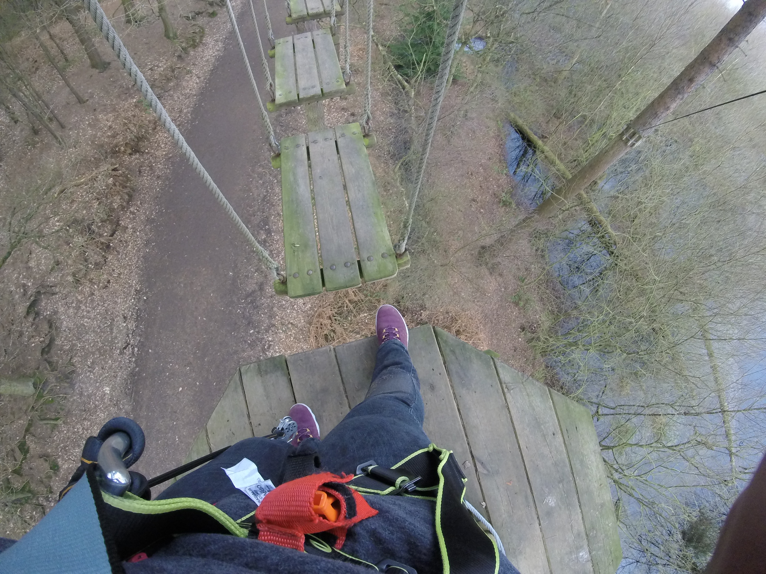 The view down from one of the tree top platforms Go Ape