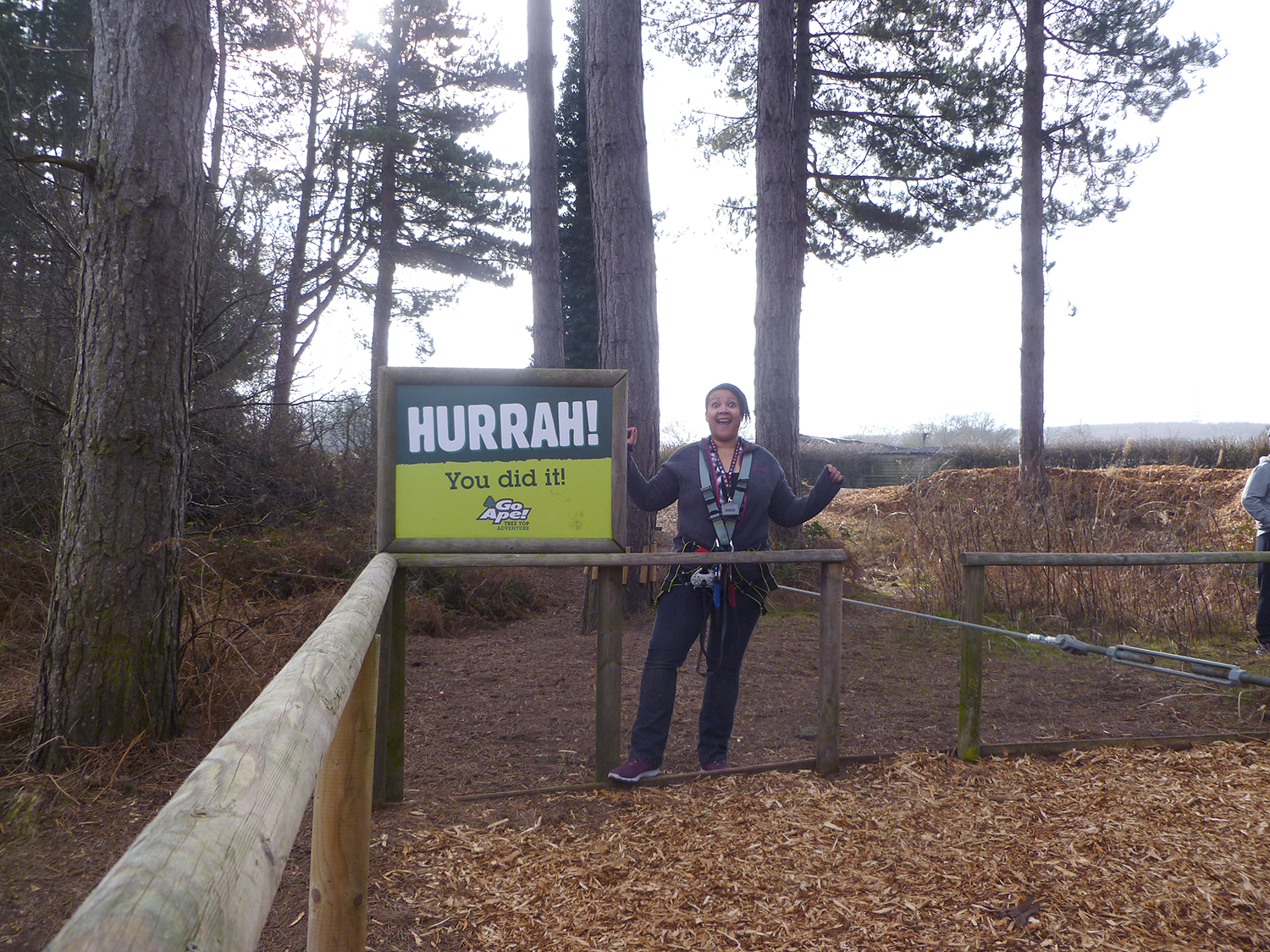 Go Ape at Delamere Forest in Cheshire Review