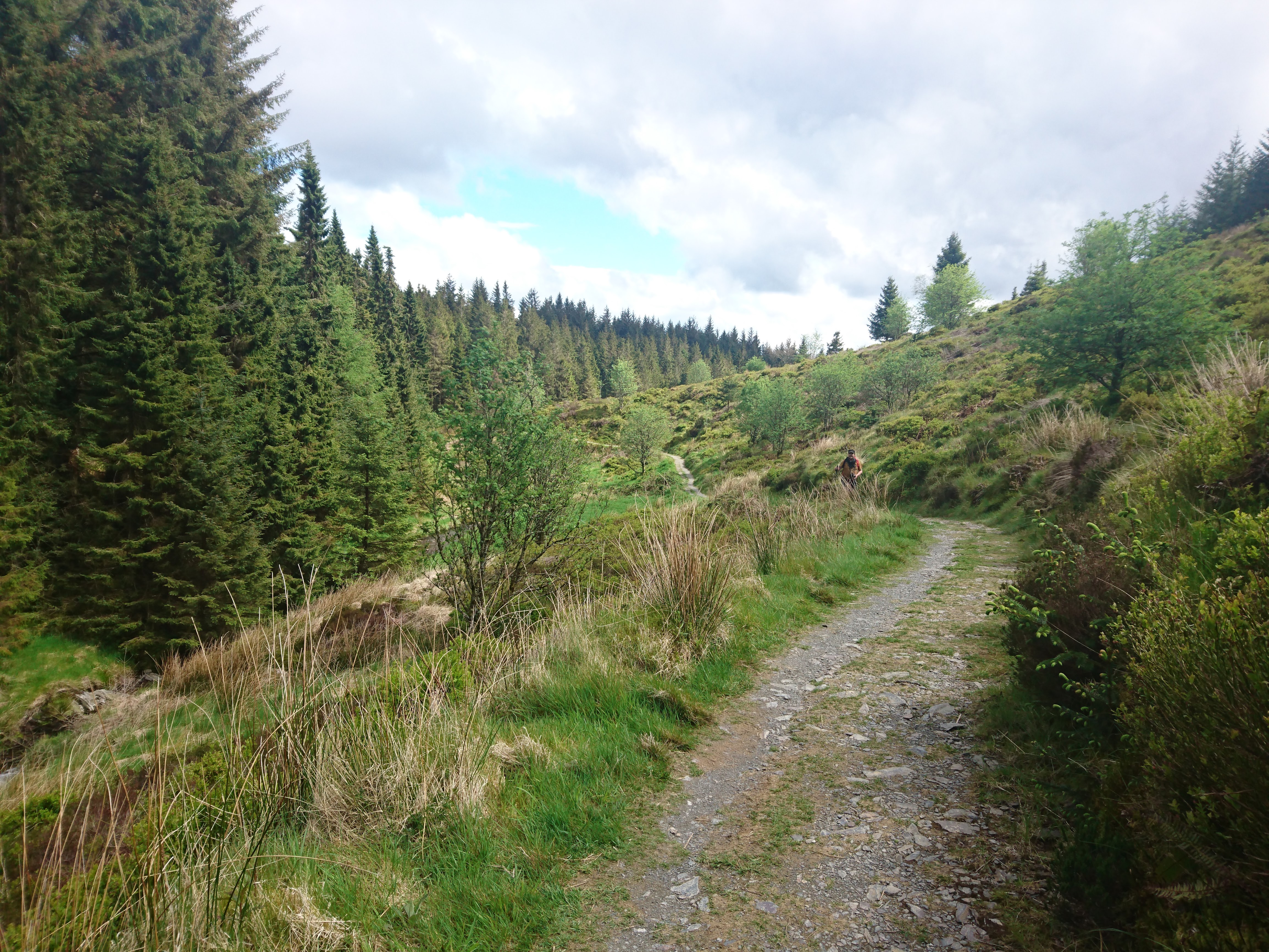 Hafren Forest walk in Wales