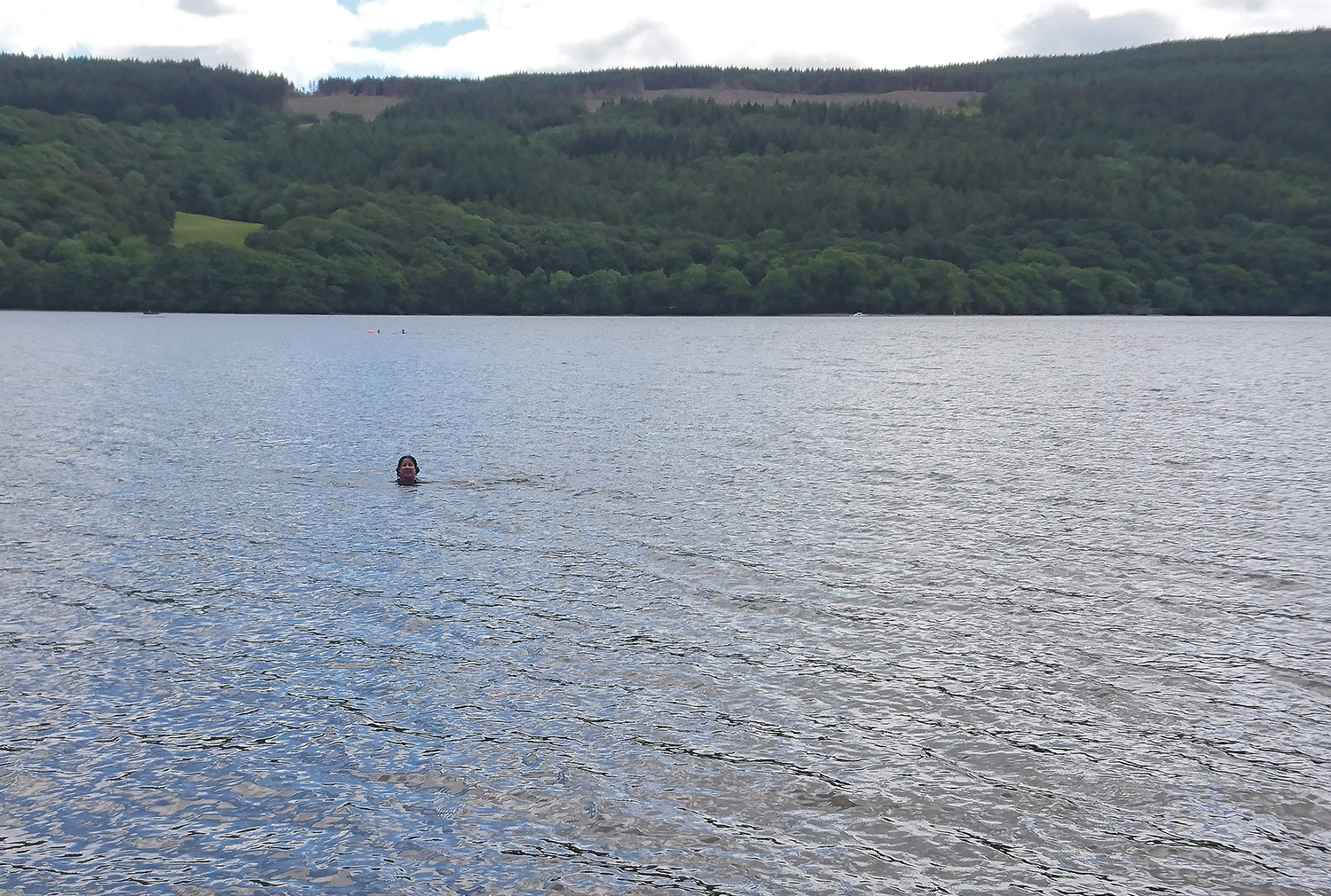 Shell swimming in Coniston Water