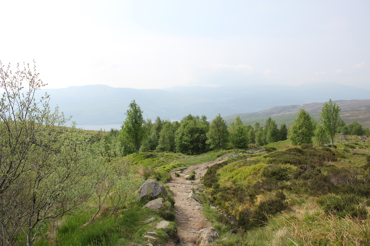 Give bushcraft a try