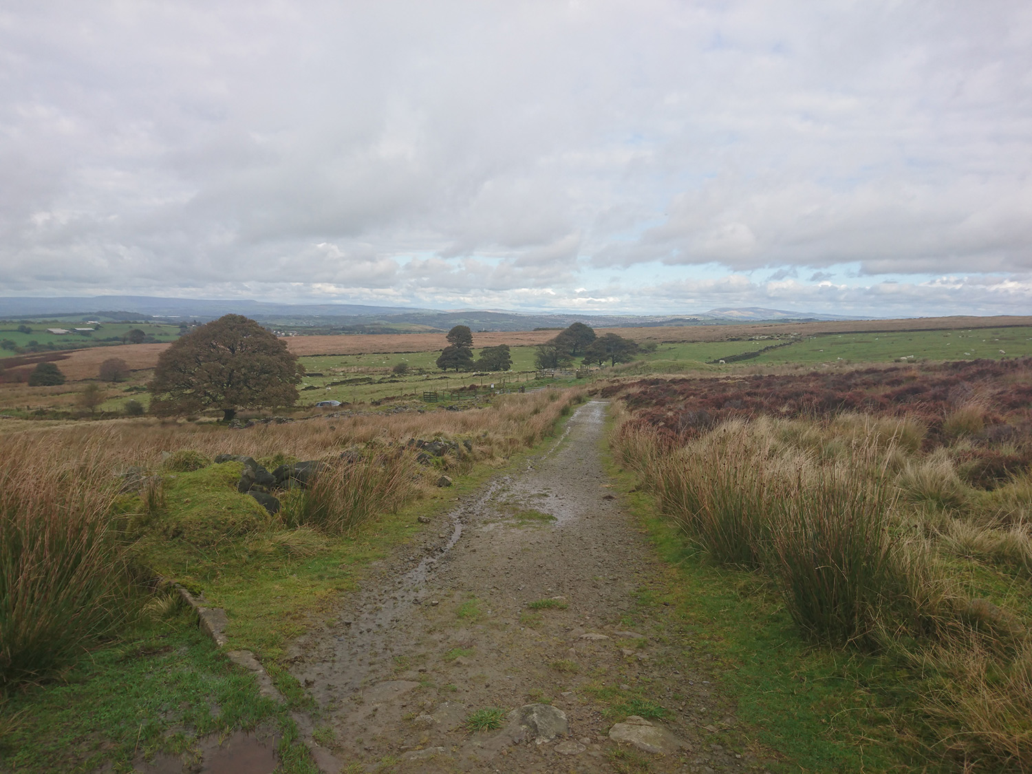Walking Brinscall via White Coppice to Great Hill
