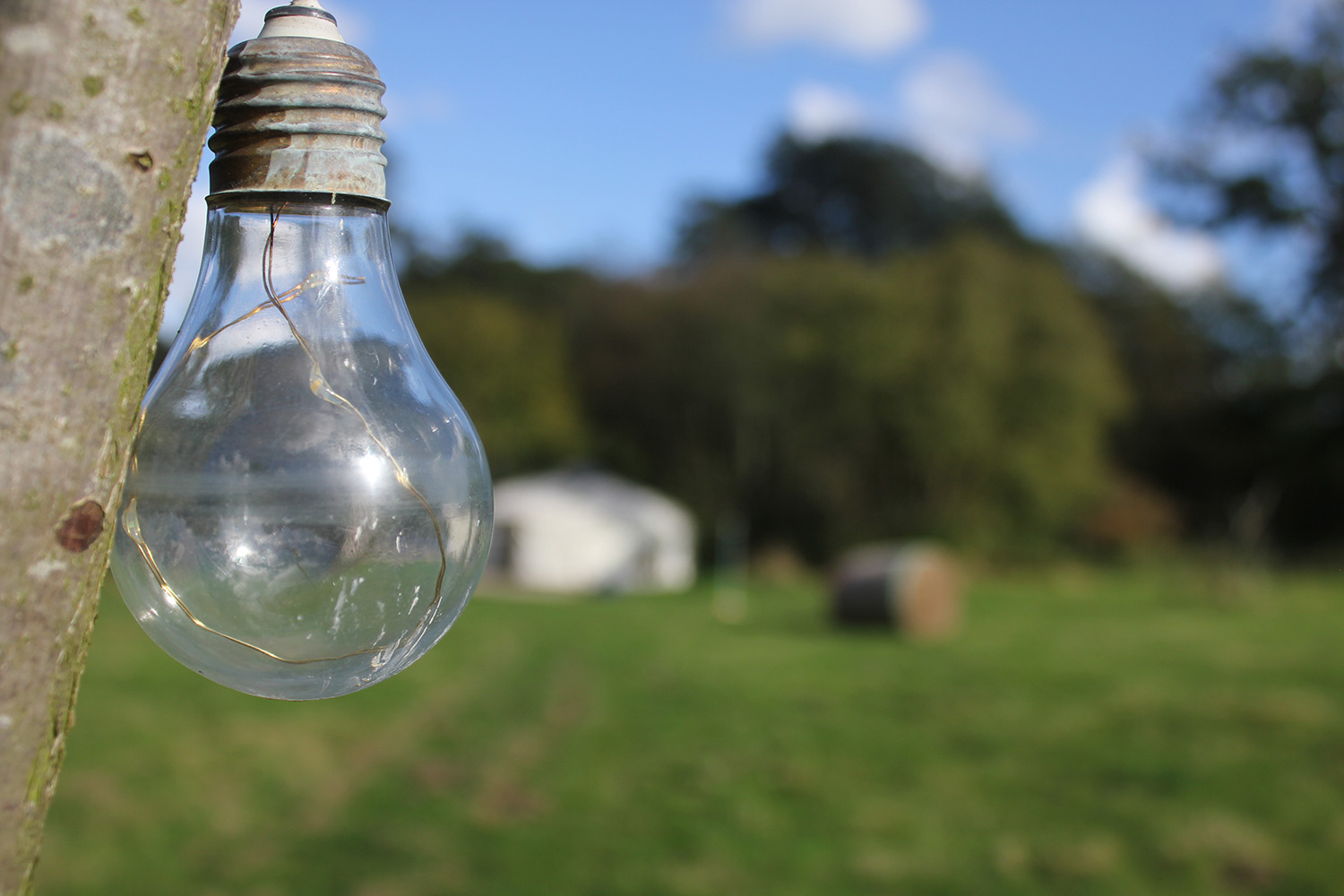 Round the Woods yurt glamping in Norfolk