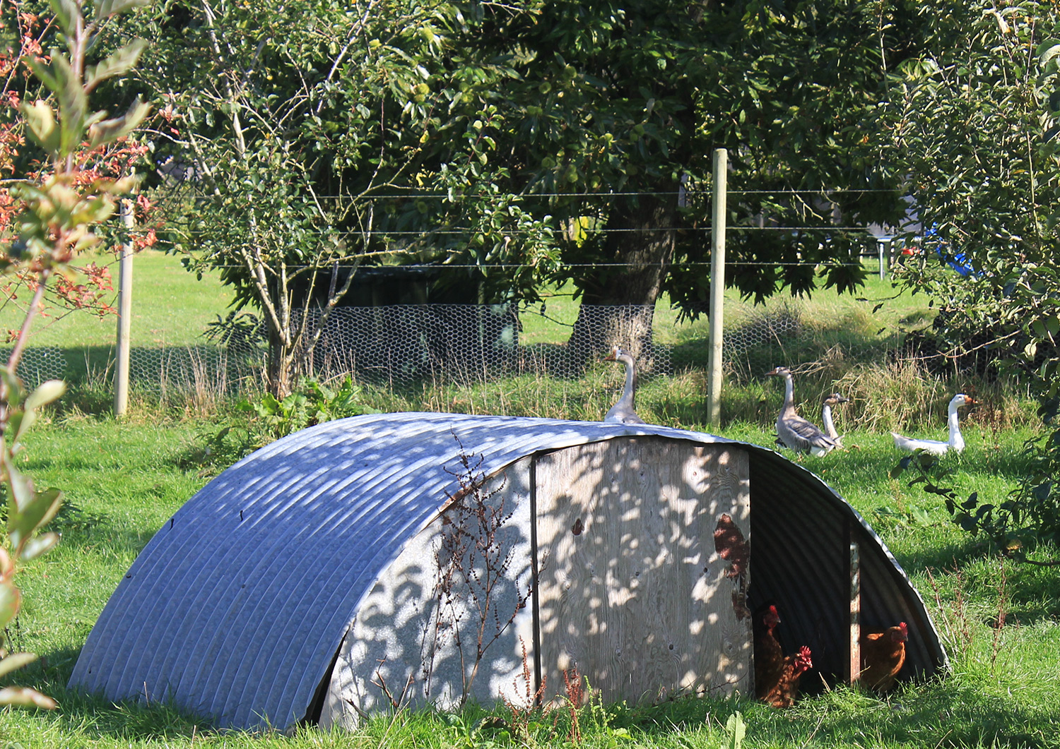 Round the Woods yurt glamping in Norfolk
