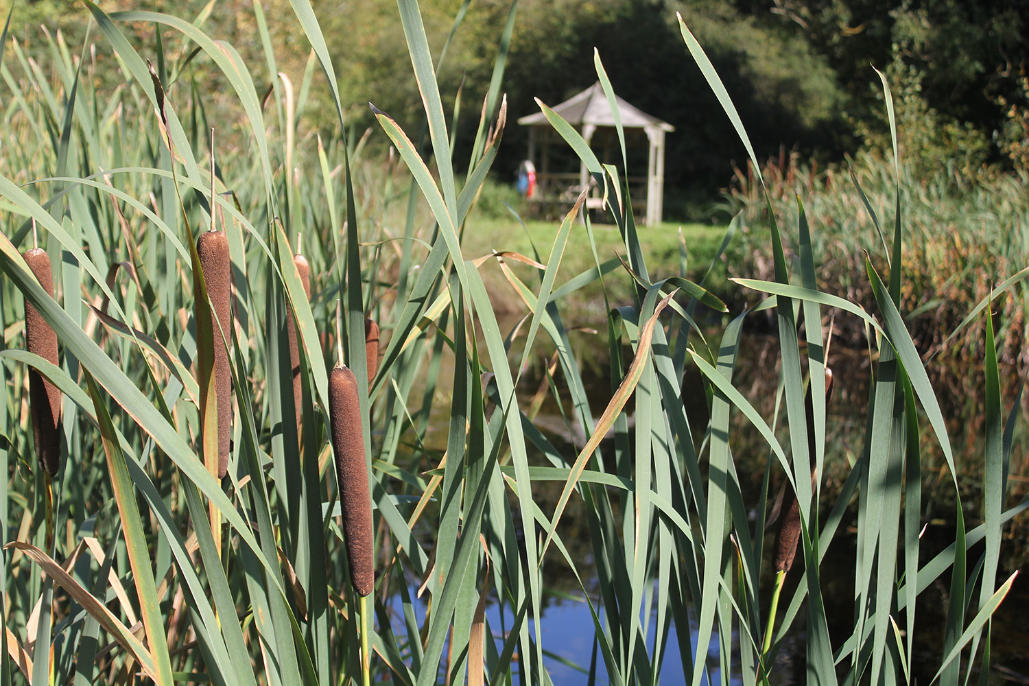 Round the Woods yurt glamping in Norfolk