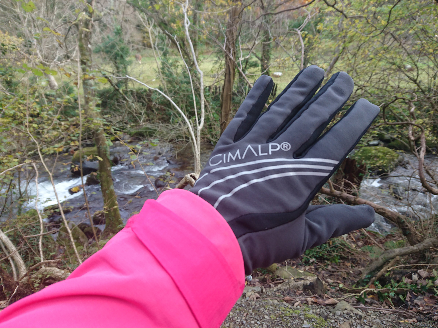 CimAlp ladies gloves