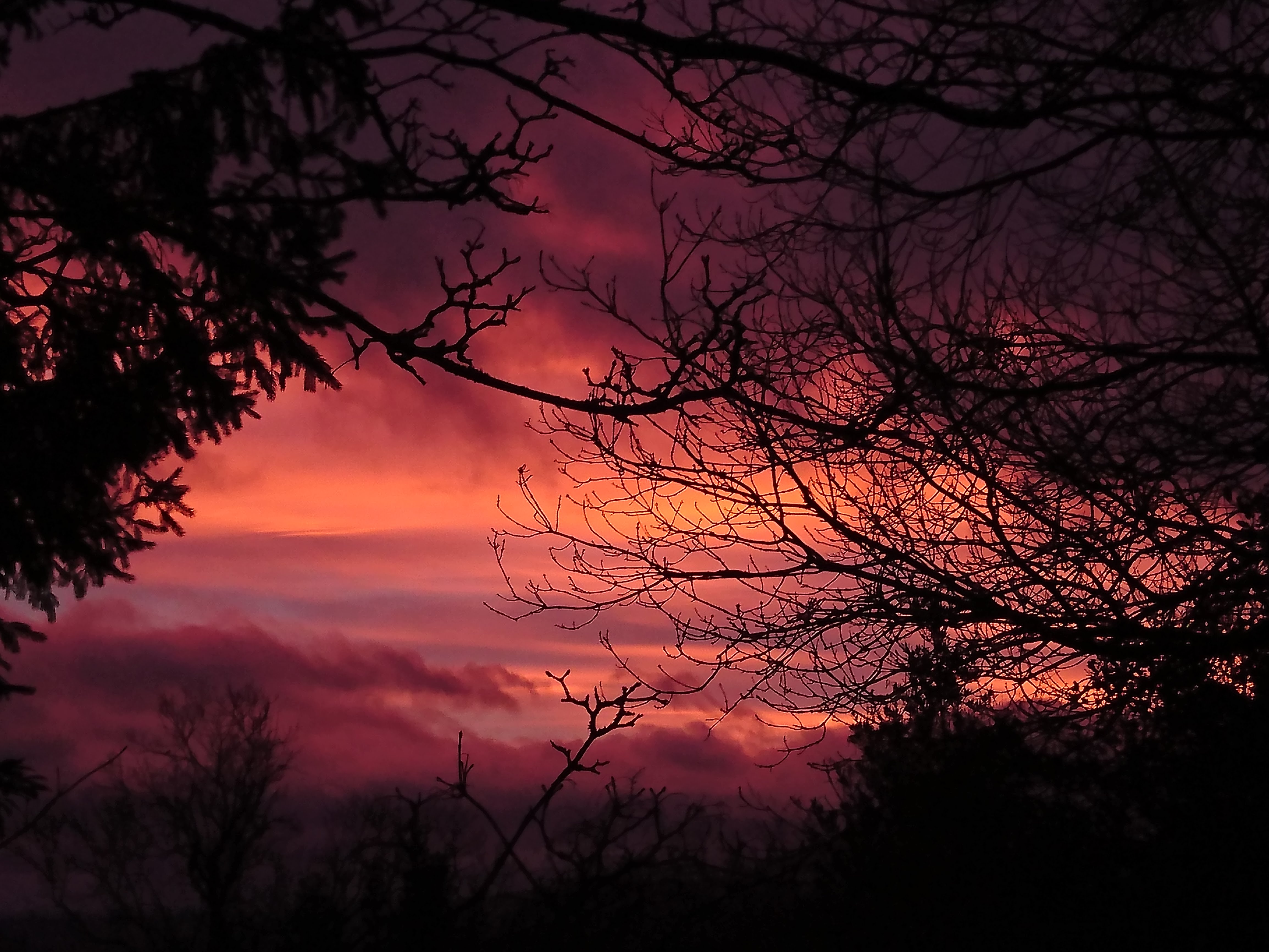 Sunset Rown lodge Hope Bagot shropshire