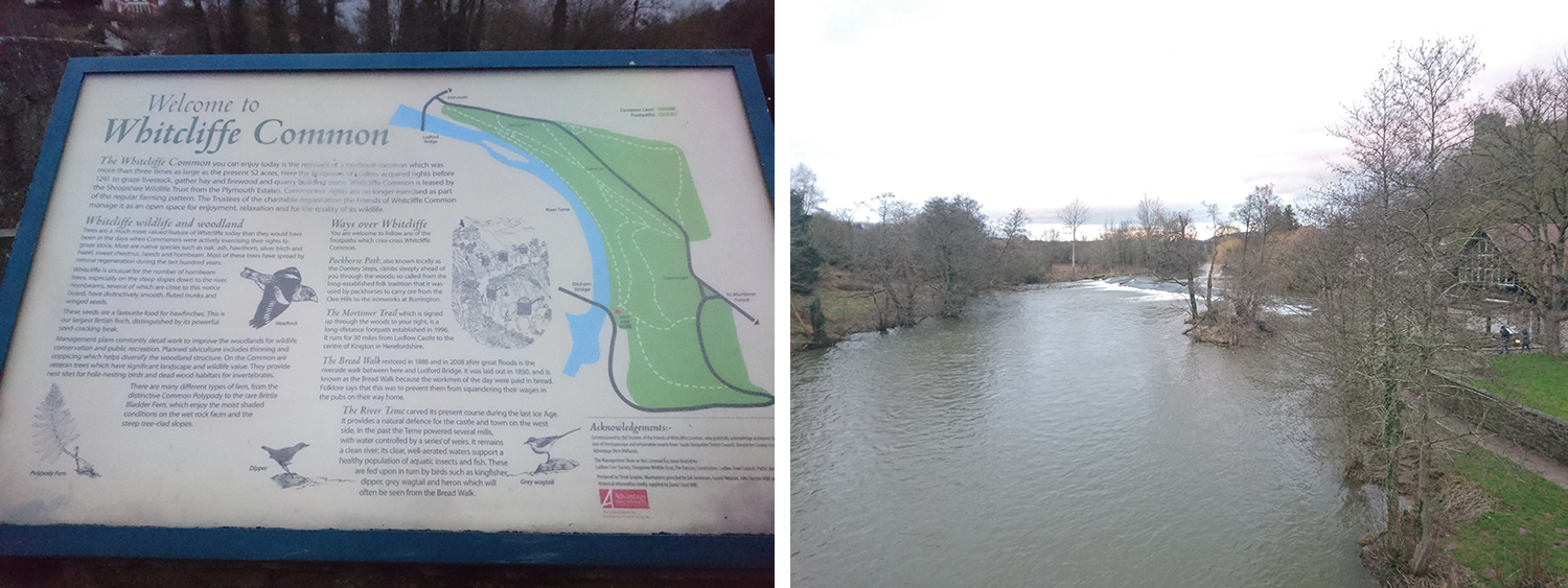 Whitcliffe Common Ludlow