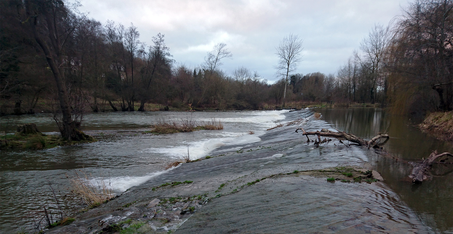 Whitcliffe Common Ludlow