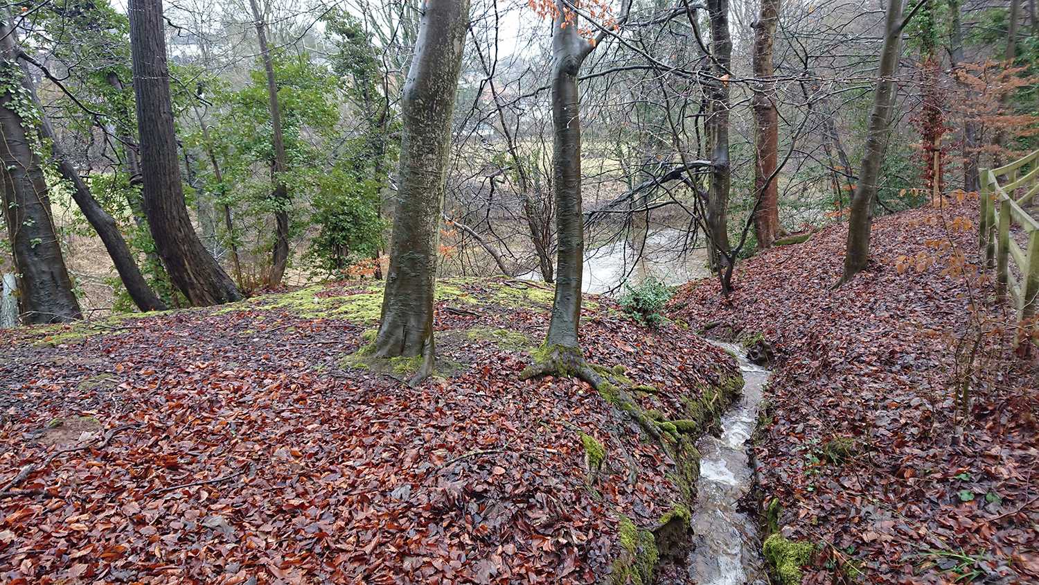 Mother Shipton's Cave Yorkshire
