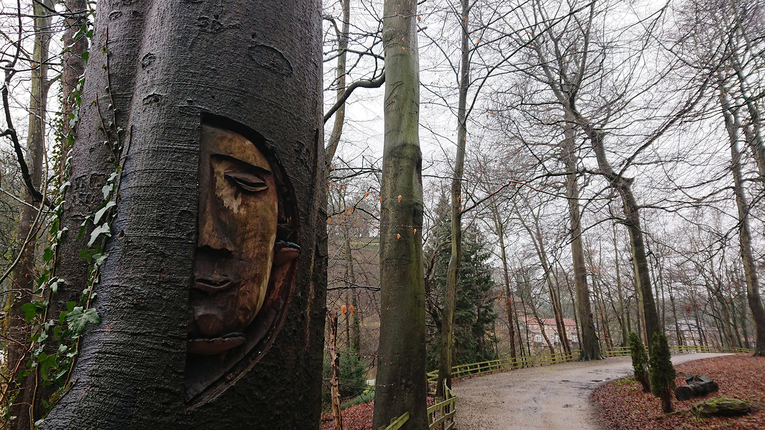 Mother Shipton's Cave Yorkshire