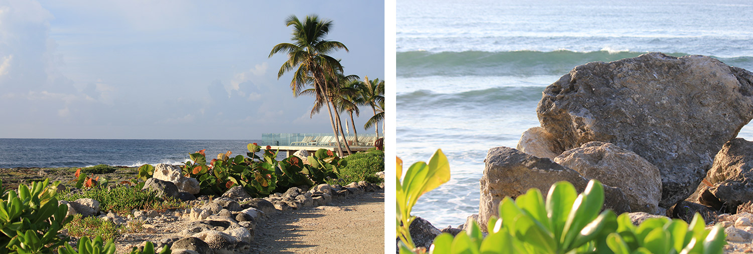 Beachfront location of the TRS Yucatan hotel