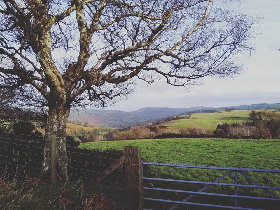 Slow Spring Adventure, Wales 2019