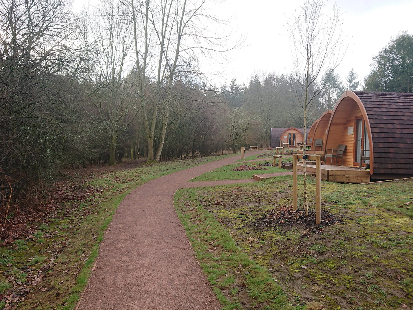 Whitemead Forest Park Glamping Pod