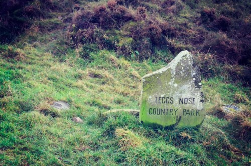 teggs nose trail