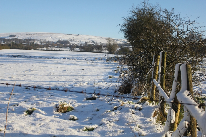 tittesworth-water-winter-walk-03