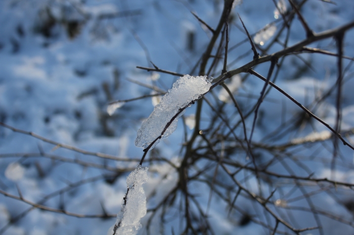 tittesworth-water-winter-walk-04