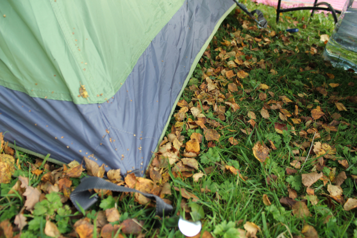 Camping in Autumn