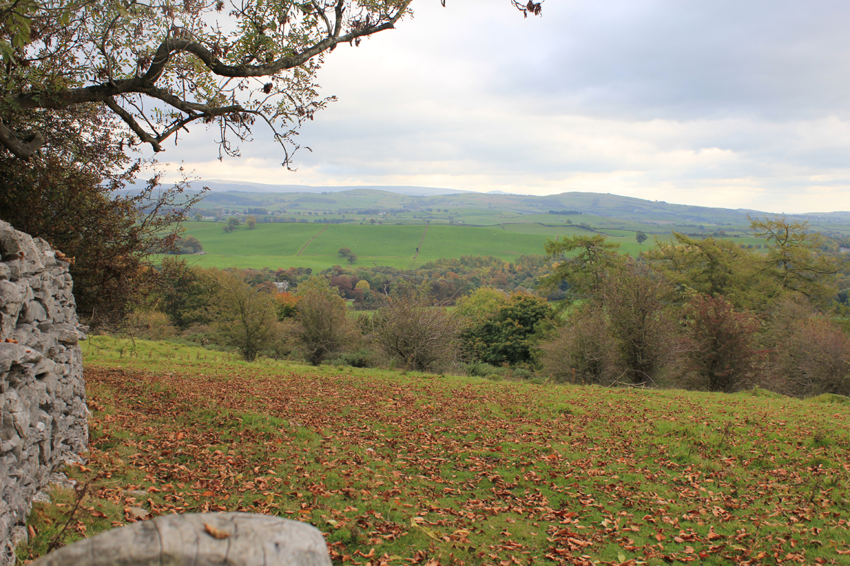 Sizergh Fell in Cumbria, October