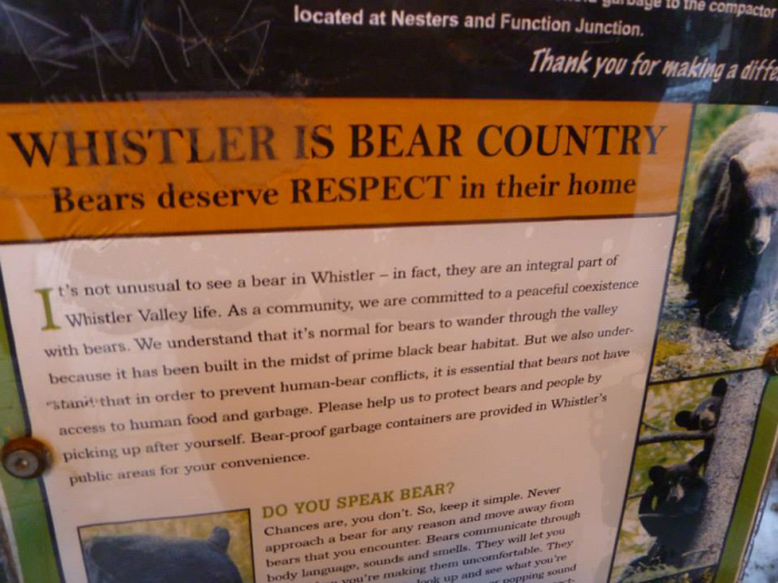 whistler-bear-warning