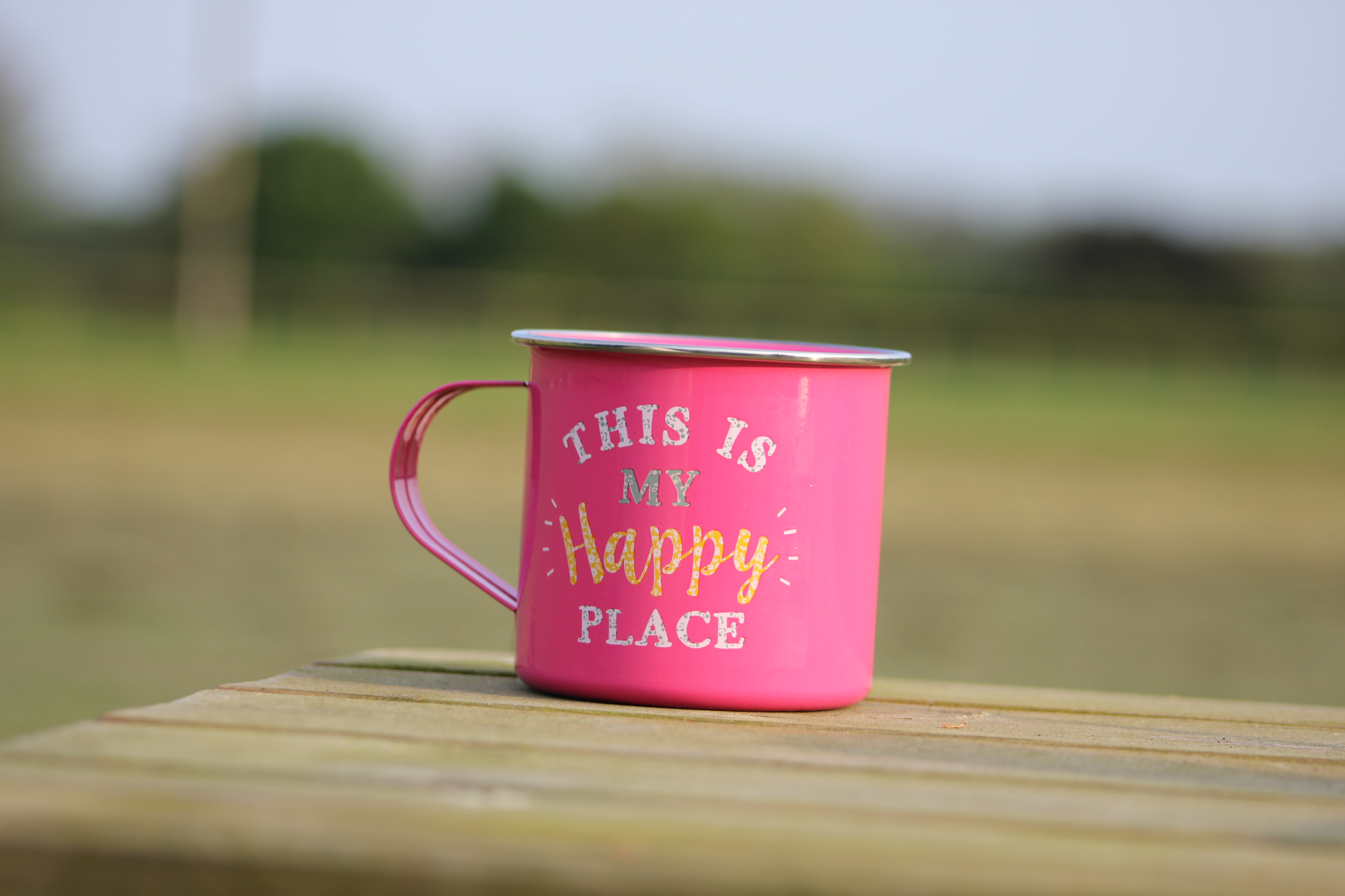 Happy place camping mug