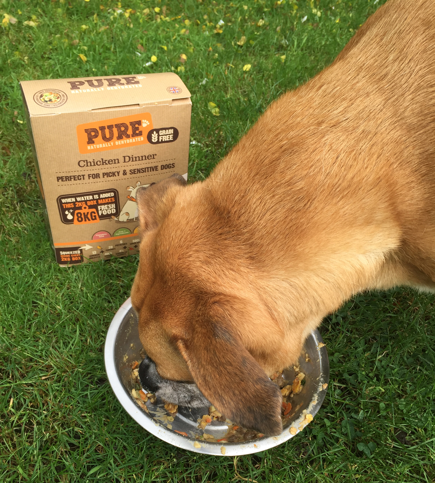 Pure chicken dinner dog food review