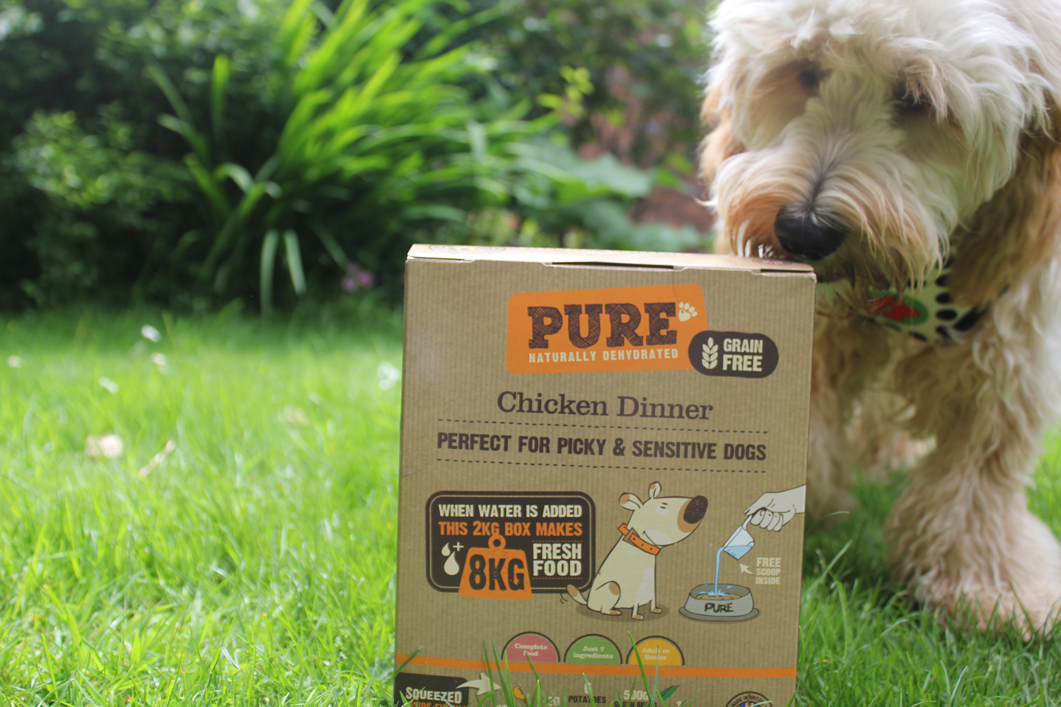 Pure Dog Food Review. Pure Pet Food Review, Updated 2020!
