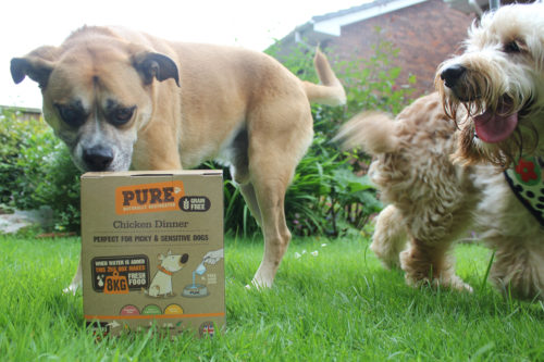Pure dog food review