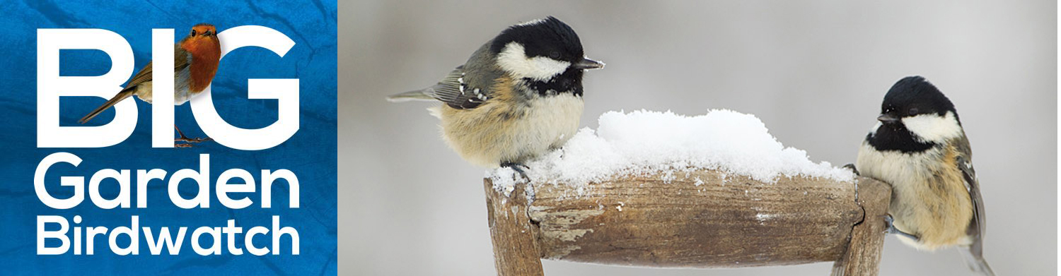 RSPB Big Garden Birdwatch 28th - 30th January 2017